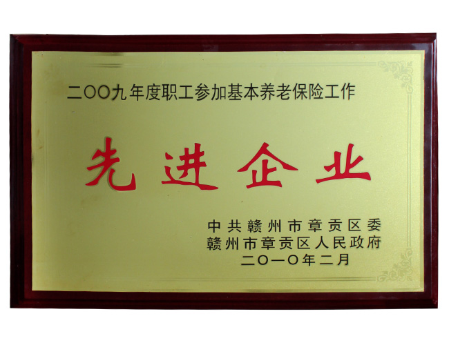 2009年榮獲先進(jìn)企業(yè)