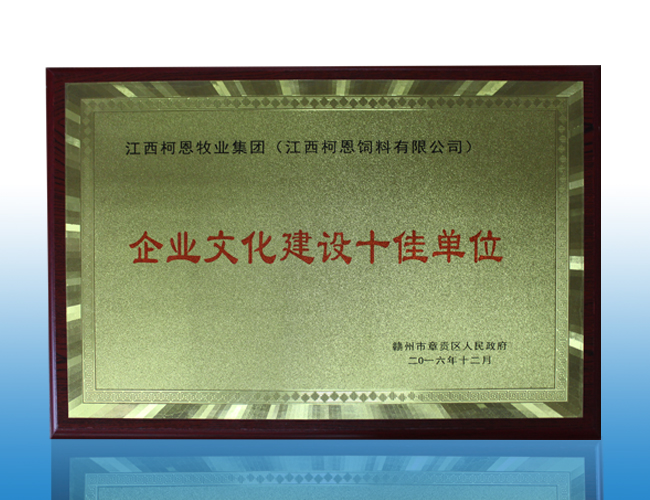 企業文化建設十佳單位