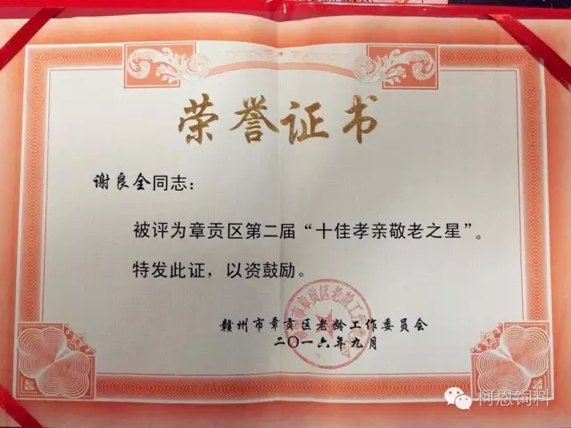 十佳孝親敬老之星