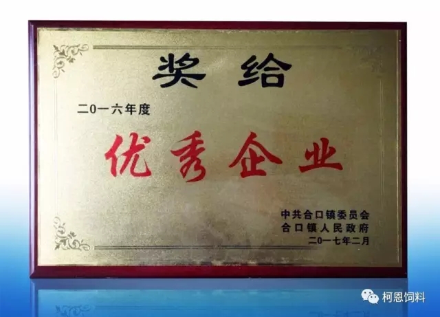 常德柯恩榮獲優秀企業