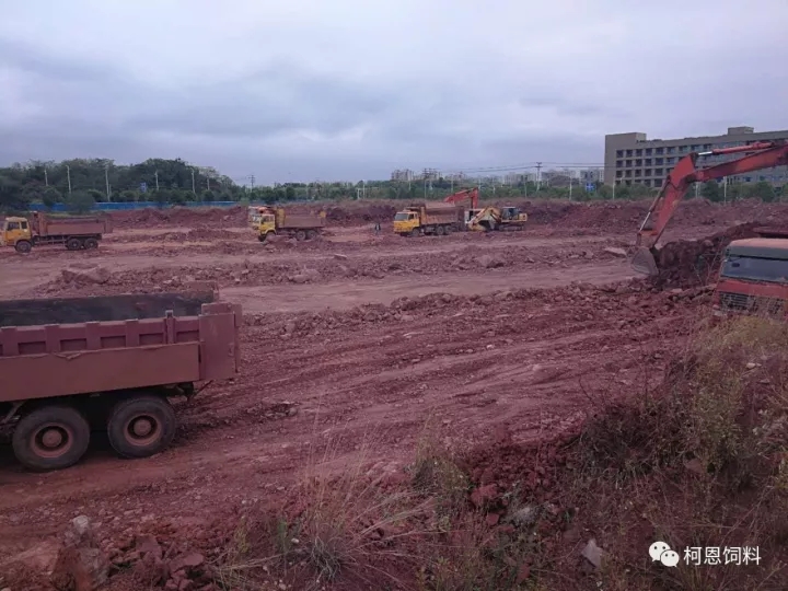 柯恩牧業(yè)總部基地破土動(dòng)工——柯恩事業(yè)發(fā)展譜新篇