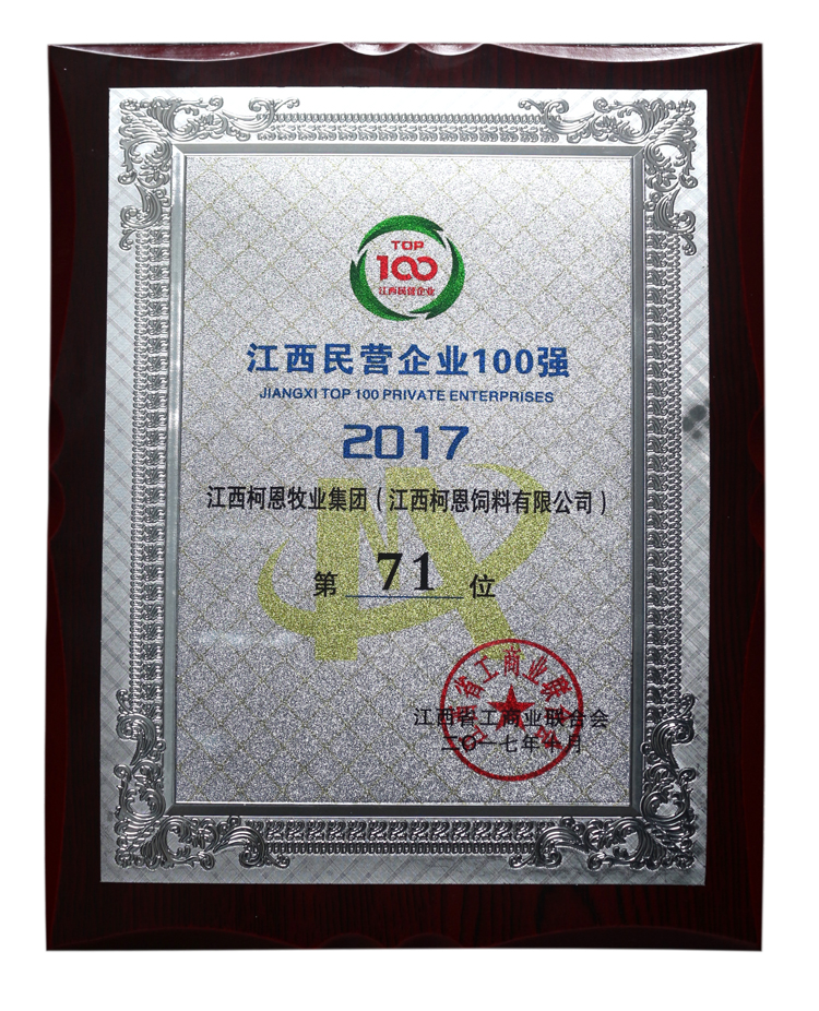 2017年江西省民營企業100強