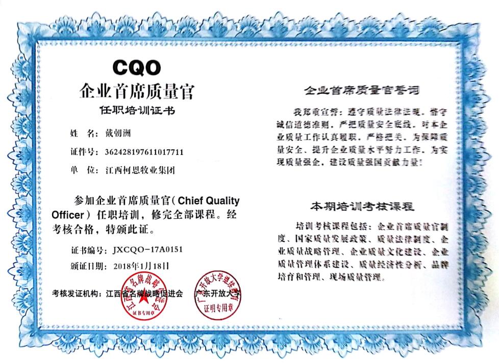 CQO企業首席質量官（戴）