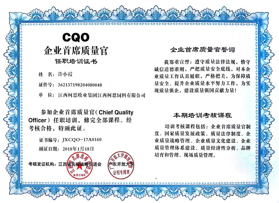 CQO企業首席質量官（許）