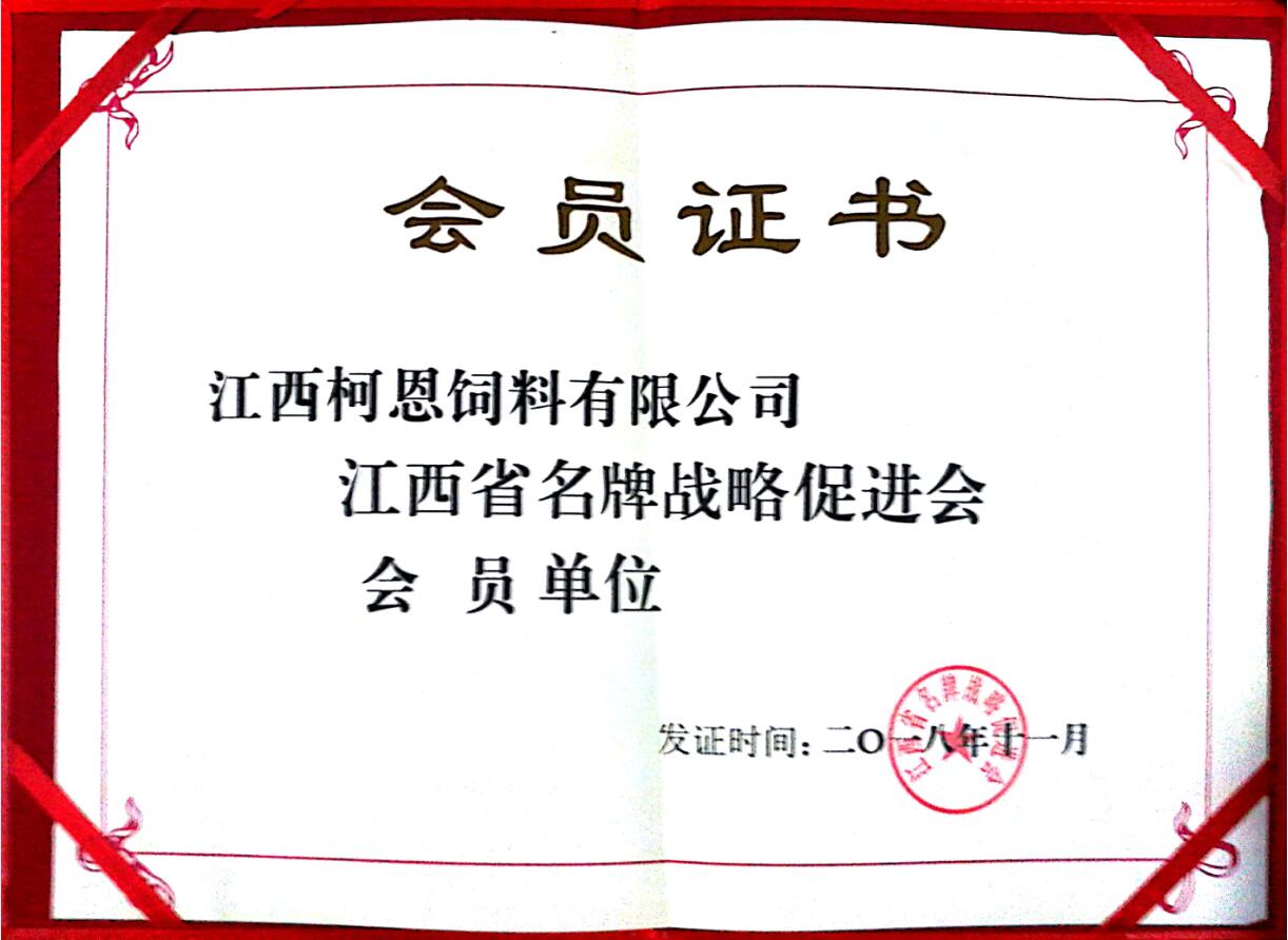 江西省名牌戰(zhàn)略促進(jìn)會(huì)會(huì)員單位