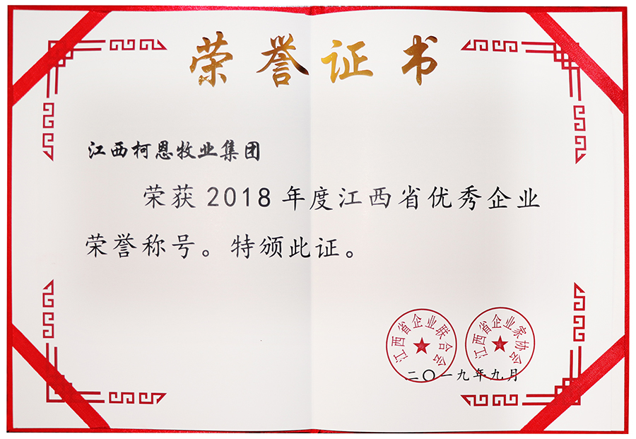 2018年度江西省優(yōu)秀企業(yè)（證書）