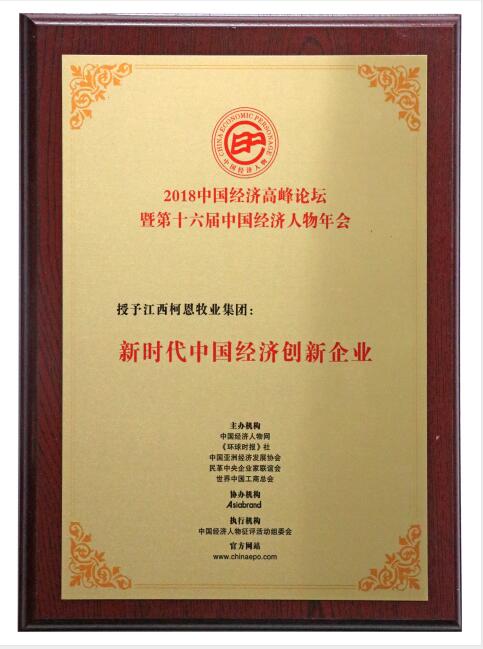新時代中國經(jīng)濟創(chuàng)新企業(yè)(牌匾)