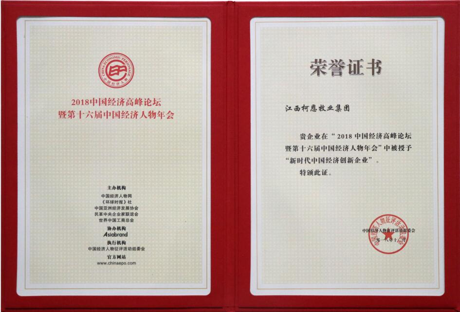 新時代中國經濟創新企業（證書）