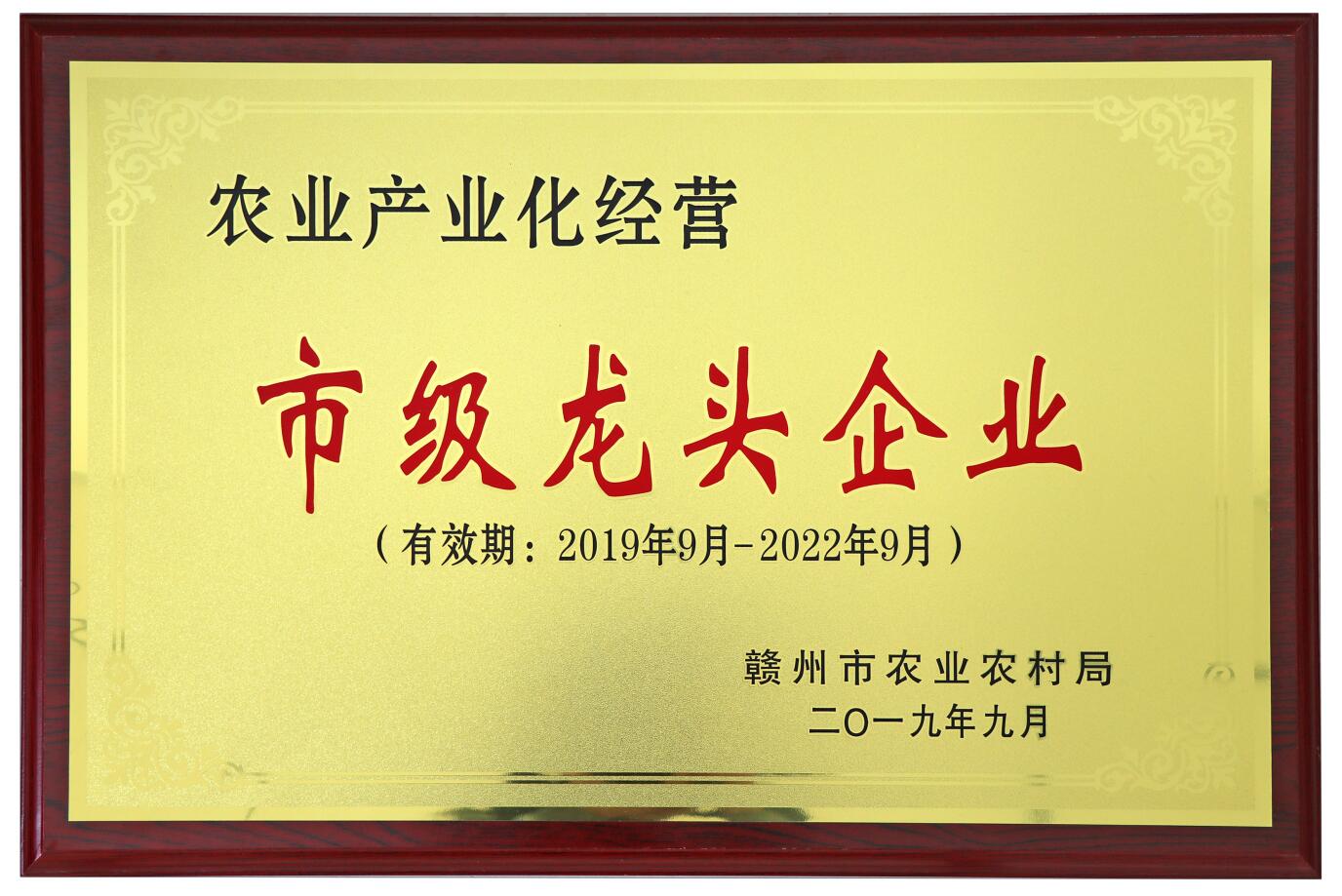 農業產業化經營市級龍頭企業（2019年）