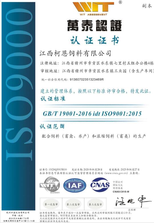 ISO9001質量管理體系認證（換證）