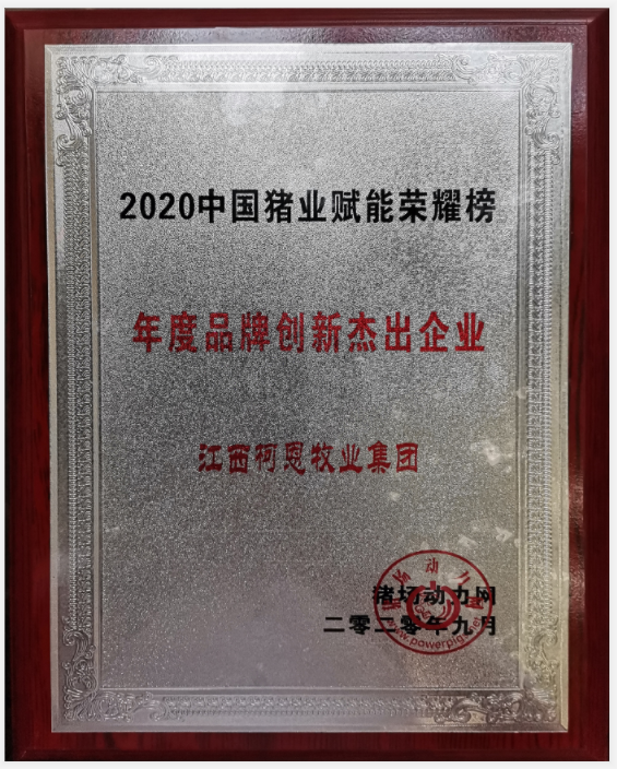 年度品牌創新杰出企業