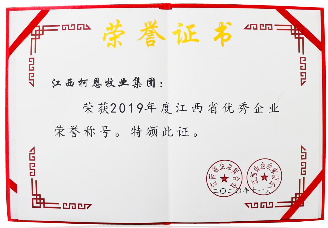2019年度江西省優秀企業（證書）