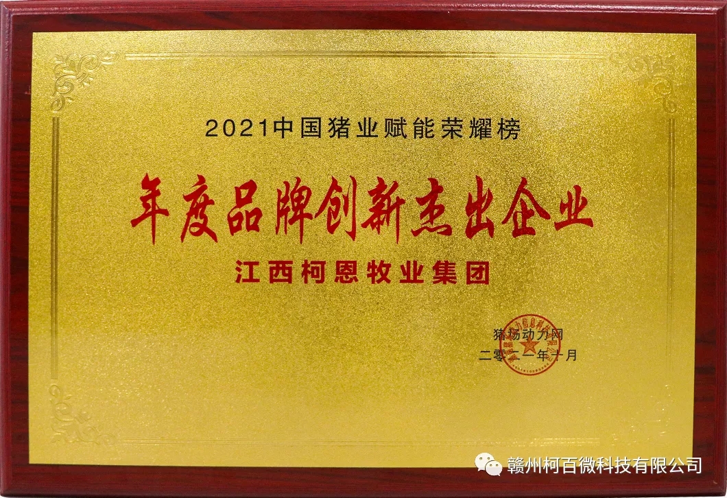 年度品牌創新杰出企業（2021年）