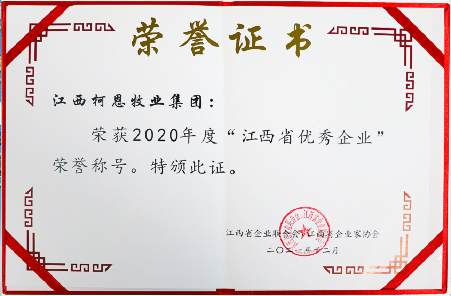 江西省優秀企業證書（2020年度）