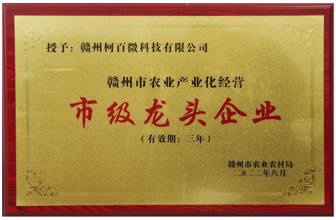 農業產業化經營市級龍頭企業（柯百微）