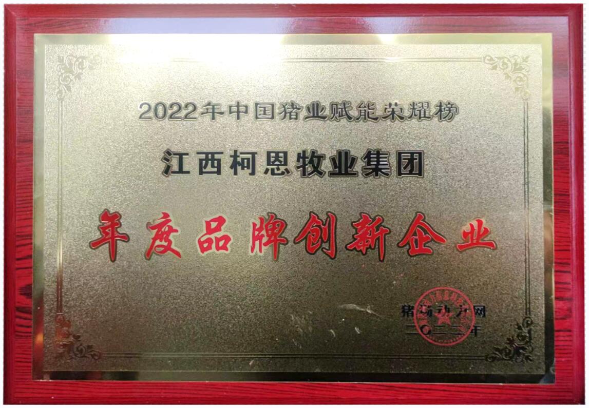 年度品牌創(chuàng)新企業(yè)（2023年）