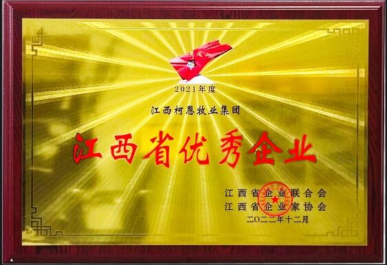 2022年度江西省優秀企業（牌匾）